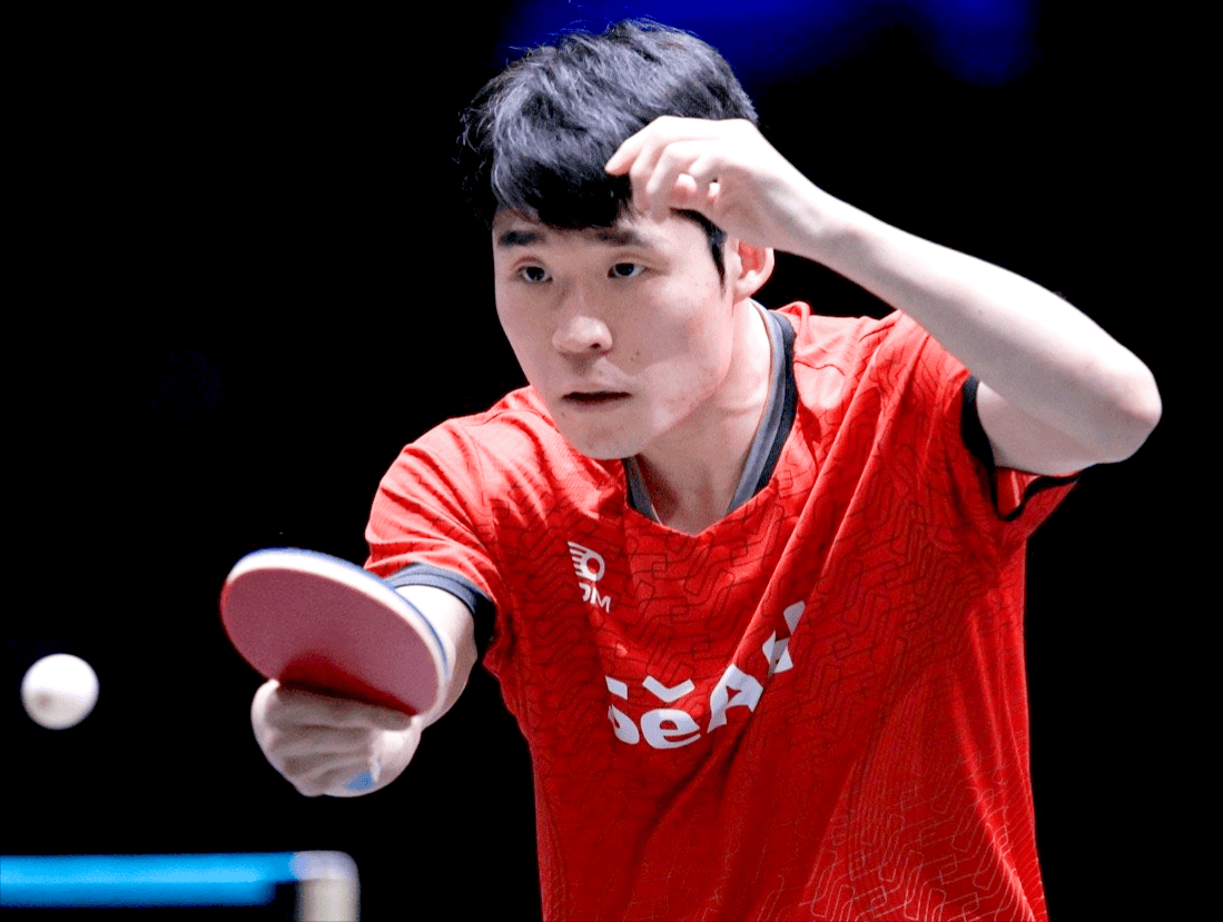 米兰-瑞典乒乓球队完胜韩国乒乓球队，王皓一己之力扛起全队的简单介绍