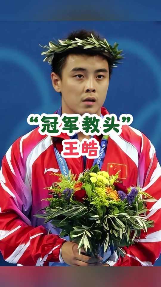 比利时乒乓球队爆冷法国乒乓球队,王皓惊艳世界的简单介绍 比利时乒乓球队爆冷法国乒乓球队,王皓惊艳世界的简单介绍