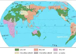 米兰体育官网-世界网球队鏖战日本网球队，西西帕斯关键制胜的简单介绍