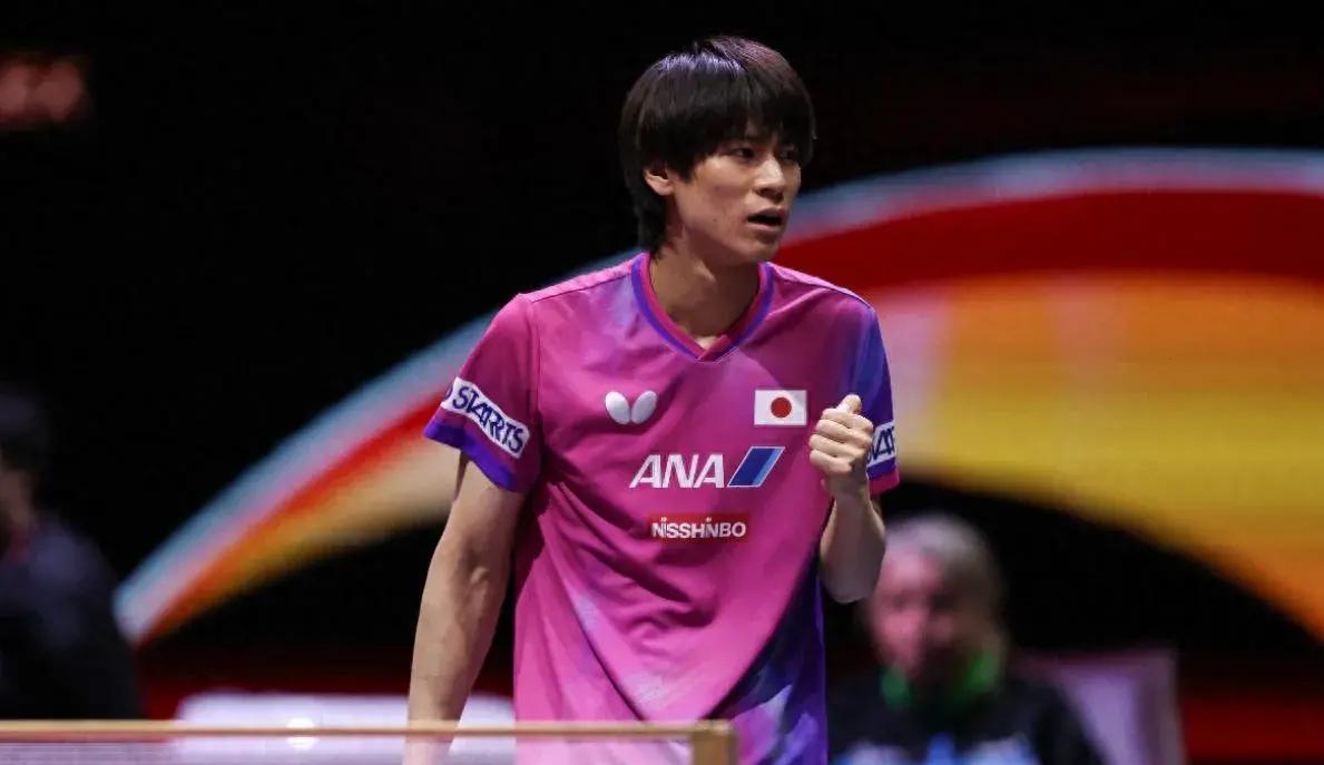 包含日本乒乓球队力克韩国乒乓球队，波尔统治全场的词条