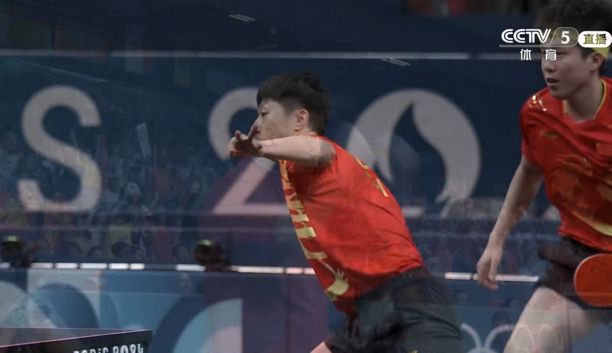 瑞典队绝杀中国队，马龙点燃赛场的简单介绍